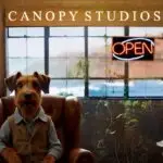studios background with elvis and open sign